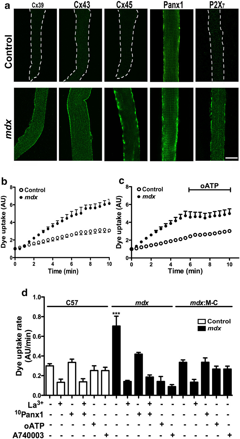 Fig. 4