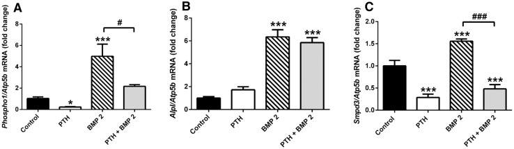 Fig. 8