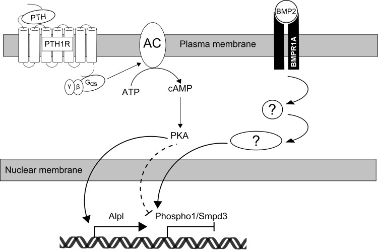 Fig. 9