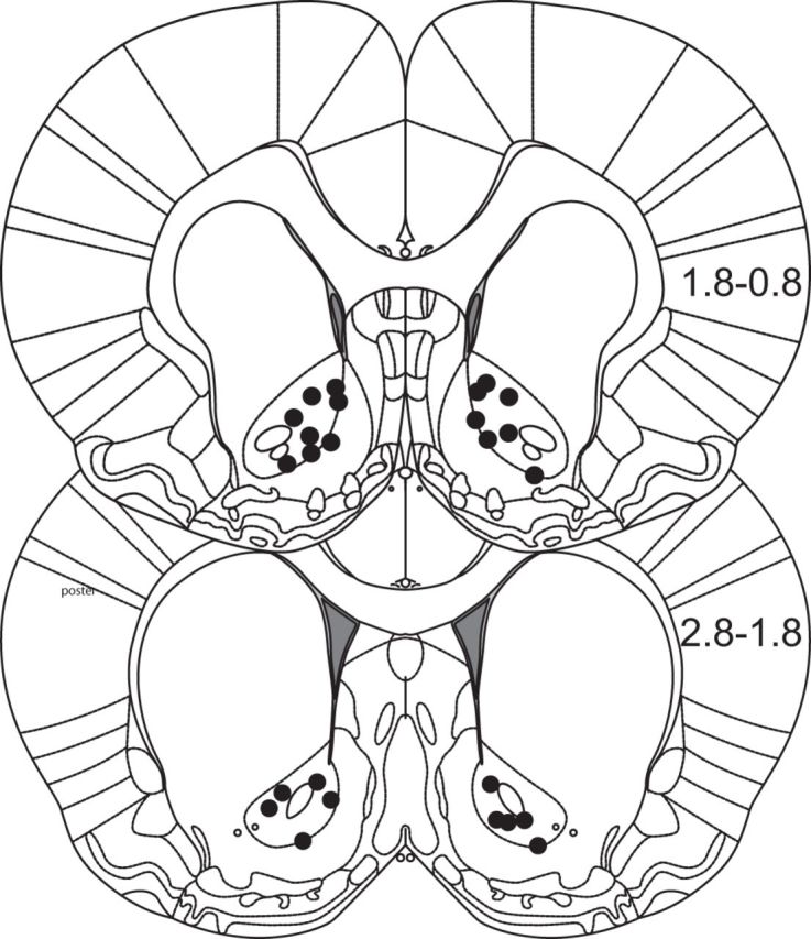 Figure 11.