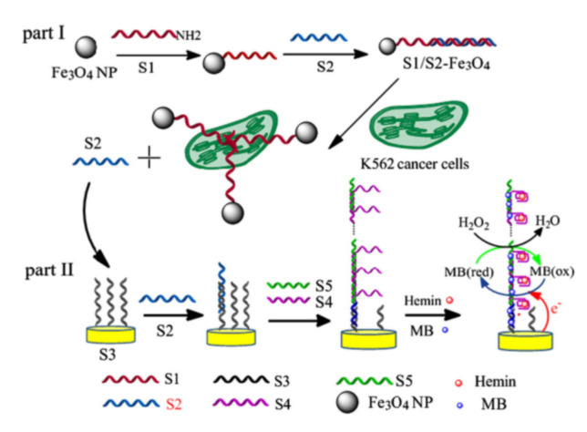 Figure 13