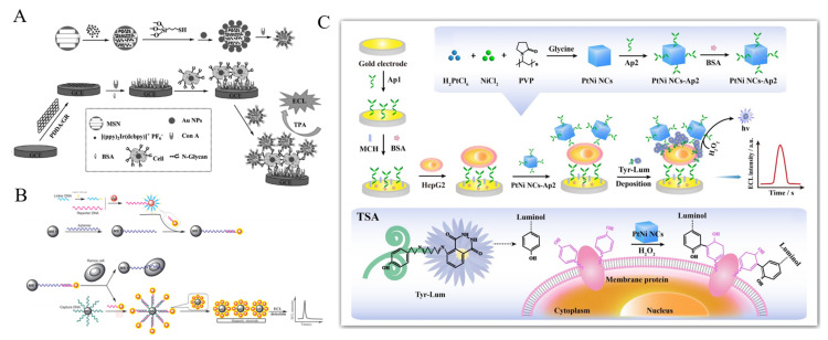 Figure 14