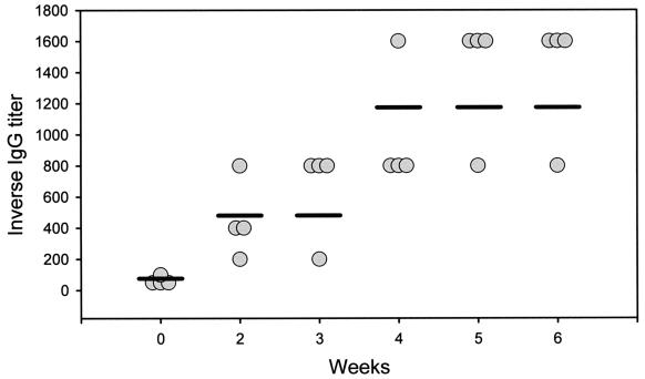 FIG. 3.