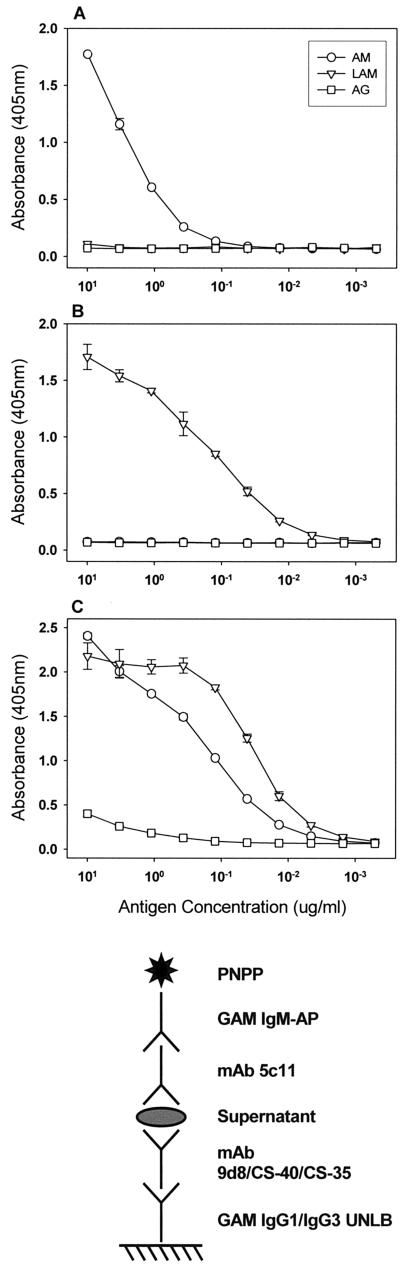 FIG. 2.