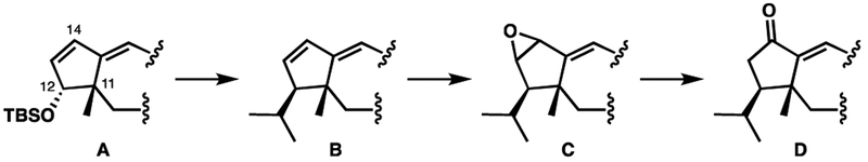 Scheme 9.