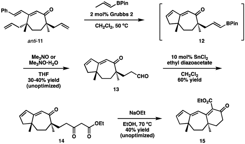 Scheme 5.