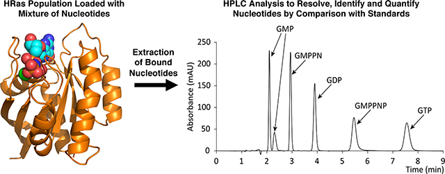 graphic file with name nihms-1736776-f0007.jpg