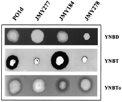 FIG. 7