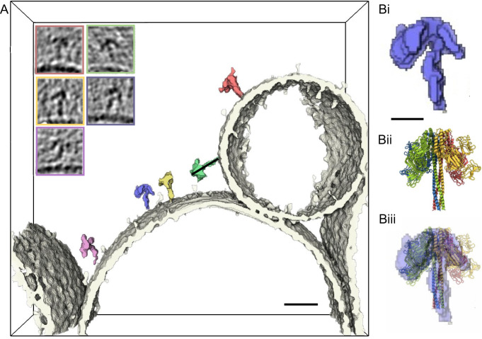 Fig. 3