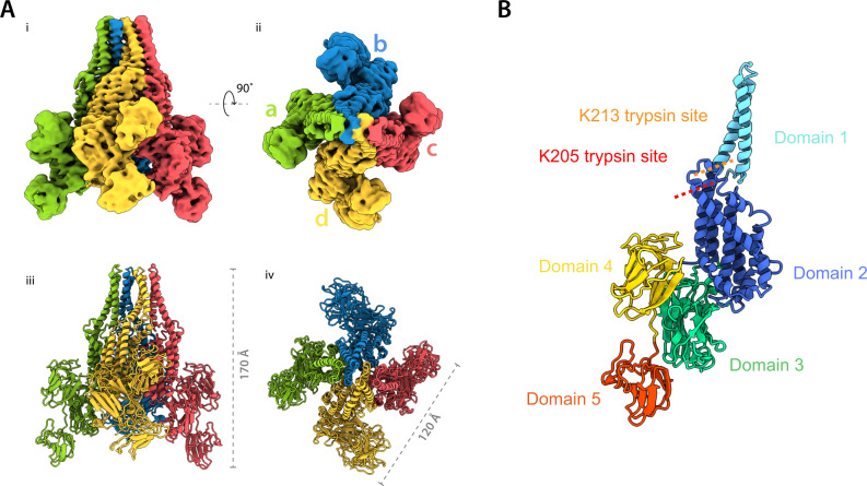 Fig. 1