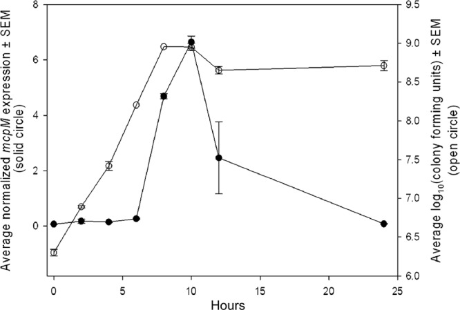 Fig 5