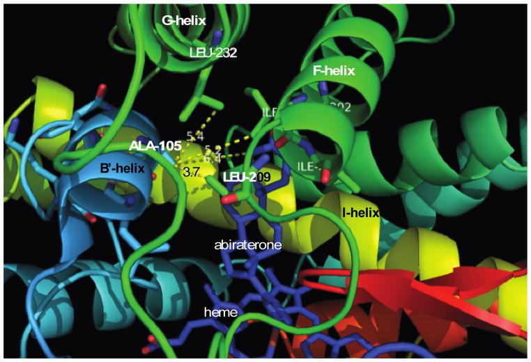 The diverse chemistry of cytochrome P450 17A1 (P450c17, CYP17A1) - PMC