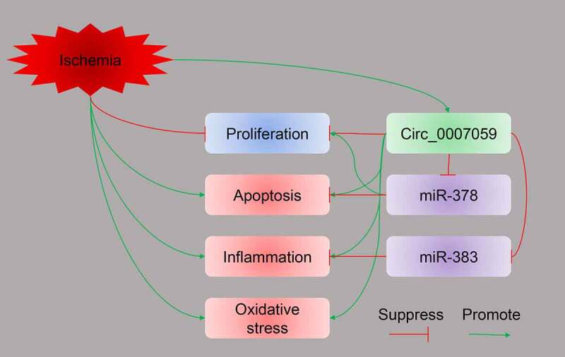 Figure 10.