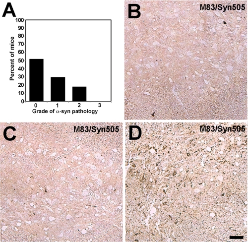 FIGURE 10.