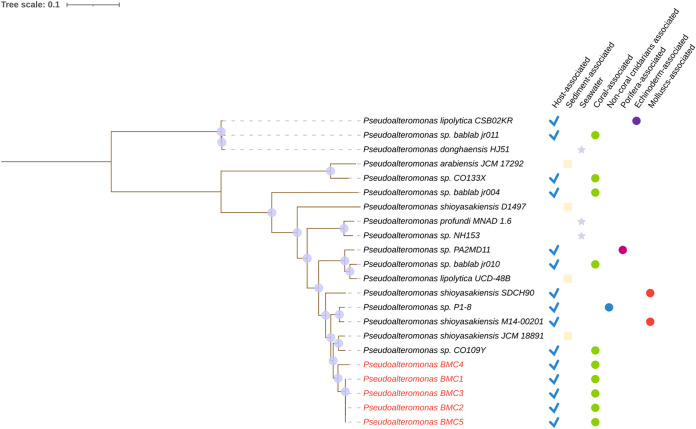 FIG 3