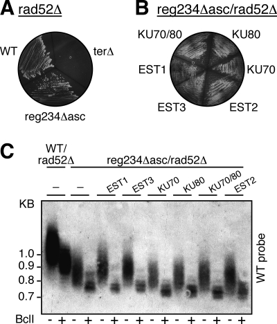 FIG. 5.