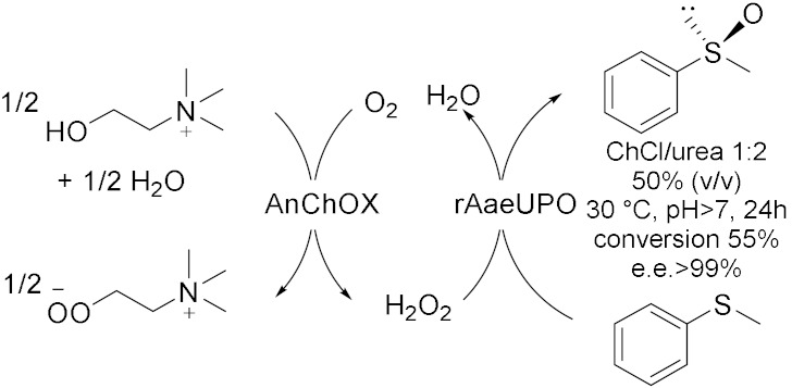 graphic file with name molecules-28-00516-i019.jpg