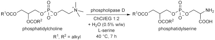 graphic file with name molecules-28-00516-i071.jpg