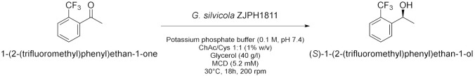 graphic file with name molecules-28-00516-i014.jpg