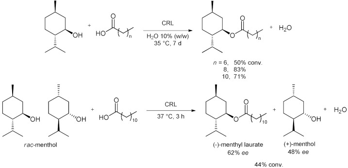 graphic file with name molecules-28-00516-i046.jpg