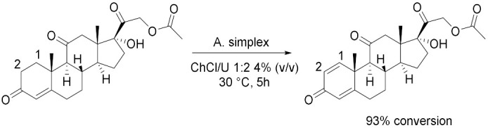 graphic file with name molecules-28-00516-i029.jpg