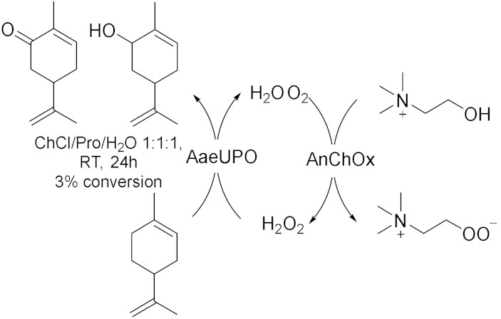 graphic file with name molecules-28-00516-i020.jpg