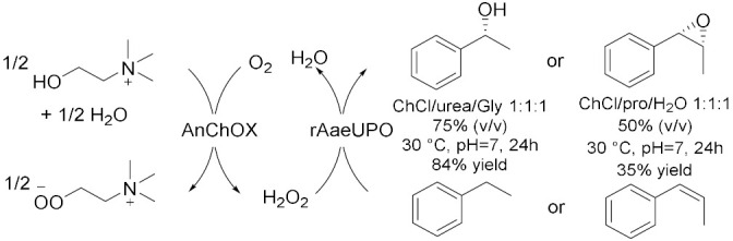 graphic file with name molecules-28-00516-i018.jpg