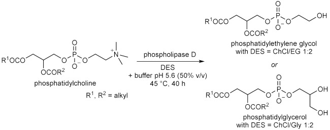 graphic file with name molecules-28-00516-i072.jpg