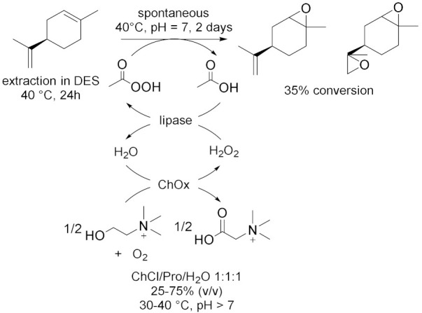 graphic file with name molecules-28-00516-i024.jpg