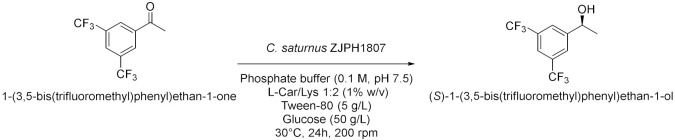 graphic file with name molecules-28-00516-i013.jpg