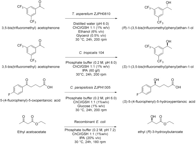 graphic file with name molecules-28-00516-i007.jpg