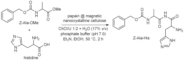 graphic file with name molecules-28-00516-i066.jpg