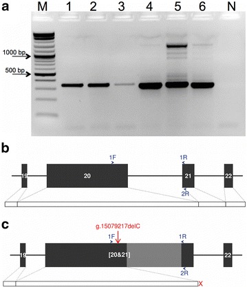 Fig. 4