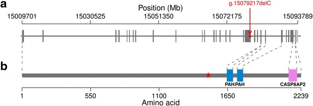 Fig. 3