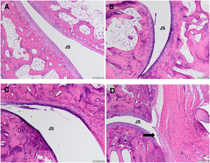 Fig 9