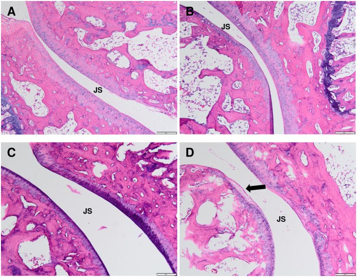 Fig 10