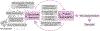 Fig. 3: