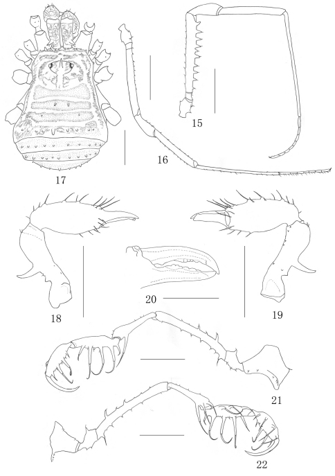 Figures 15–22.