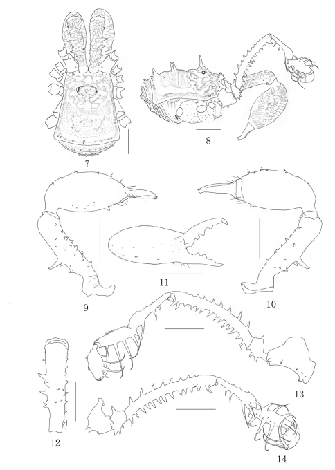 Figures 7–14.