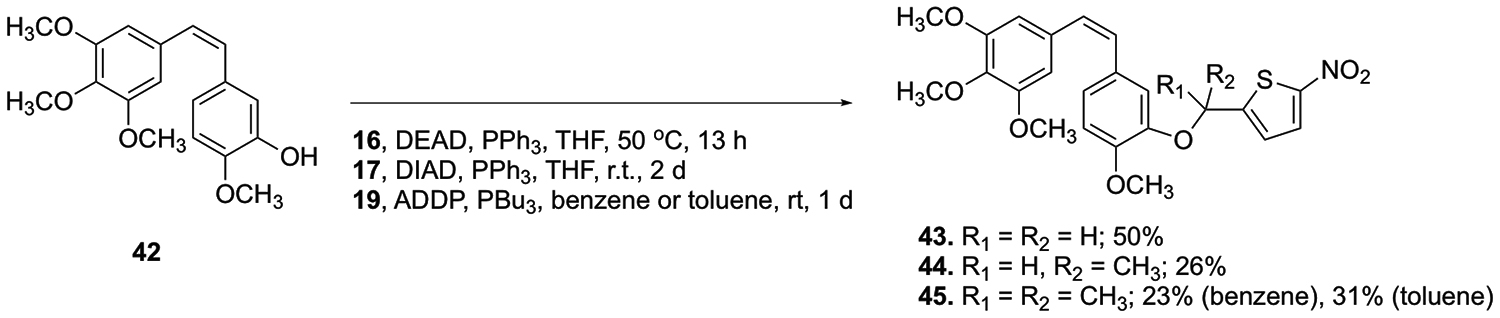 Scheme 7.