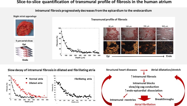 Graphical Abstract