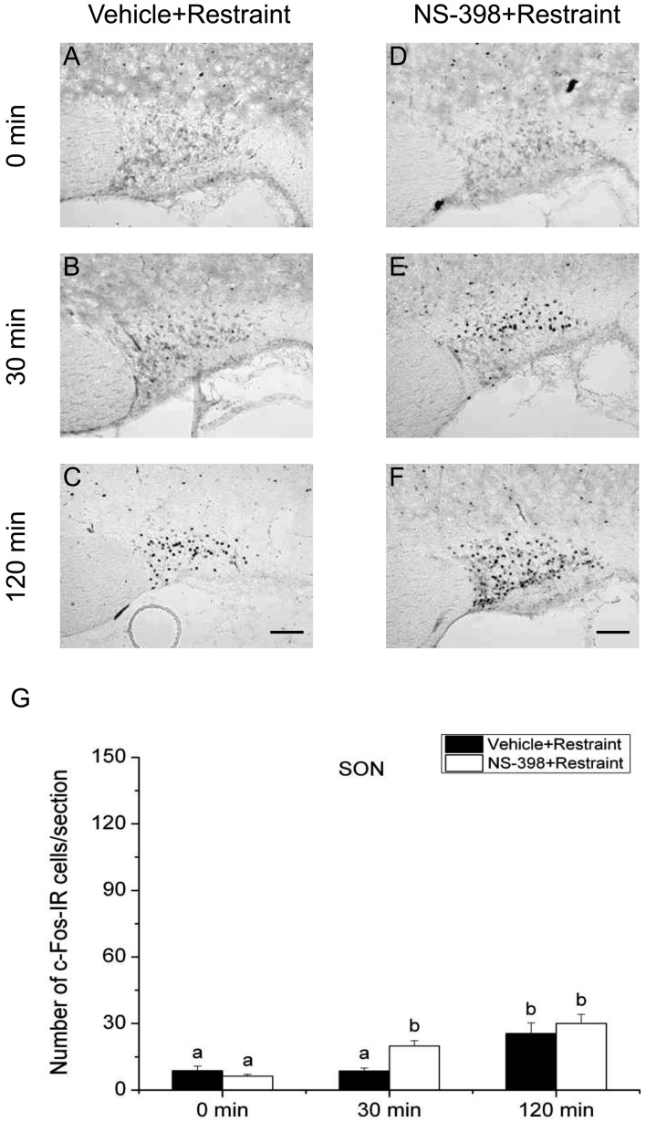 Fig. 9.