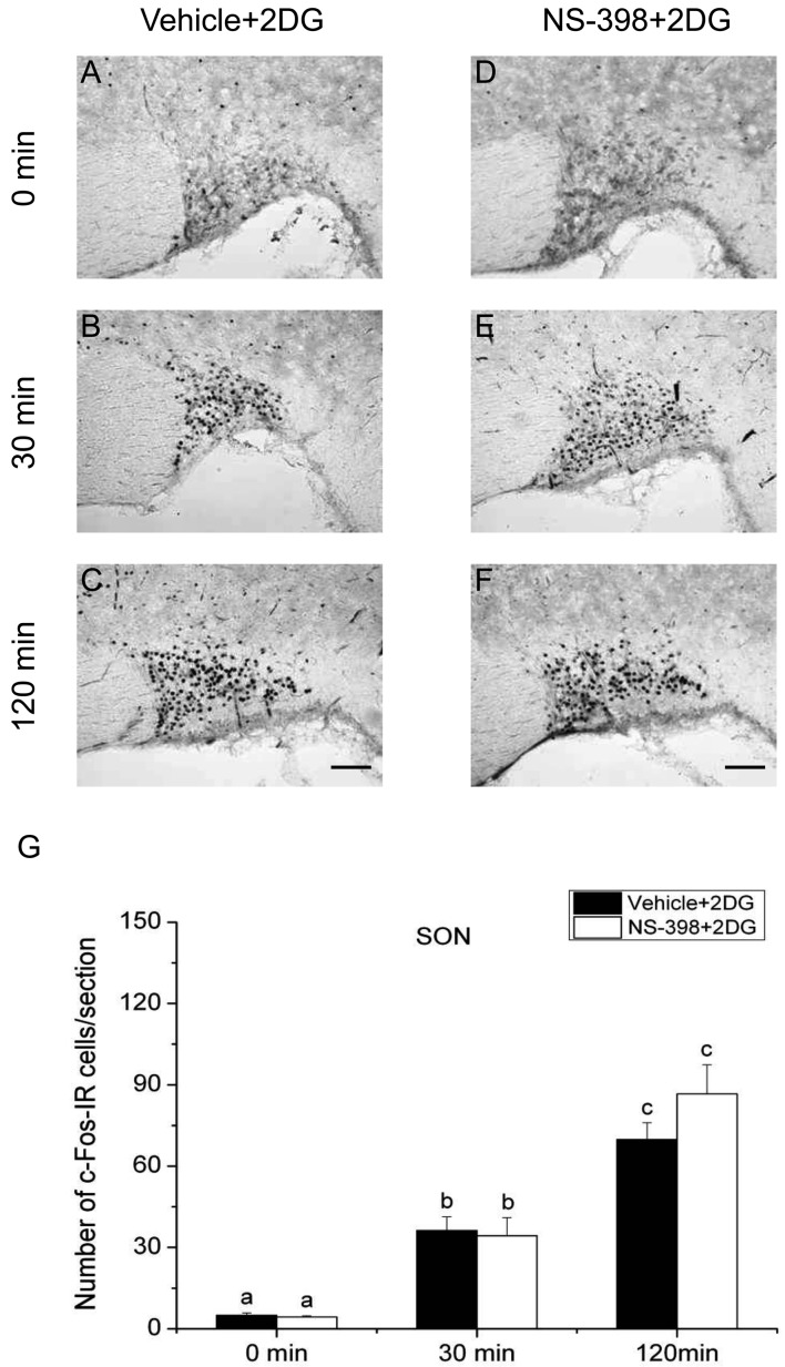 Fig. 8.