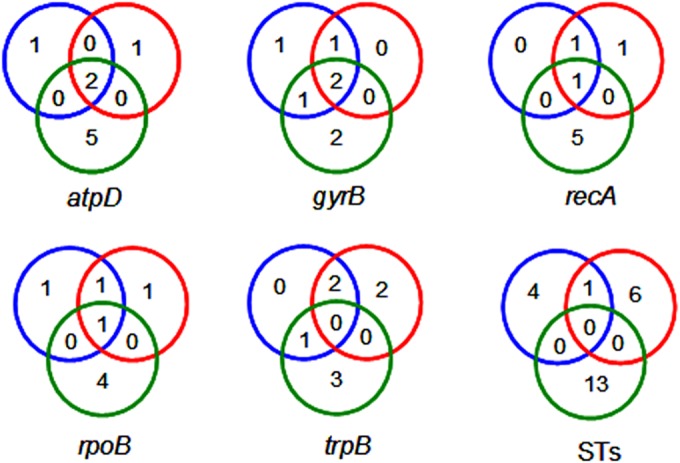 FIG 1