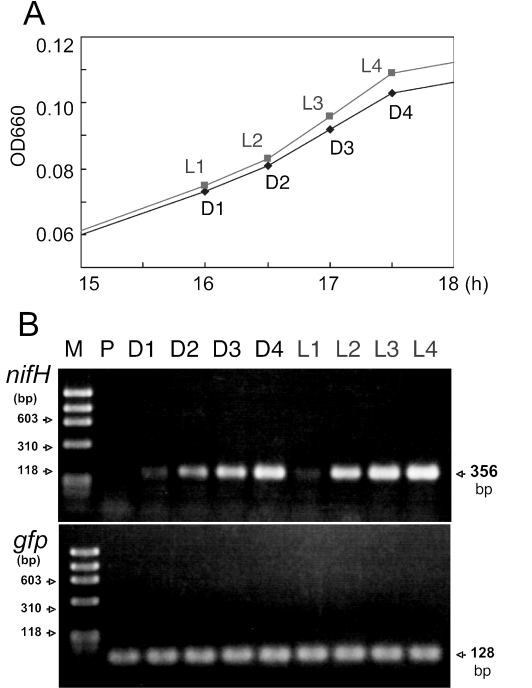 FIG. A1.