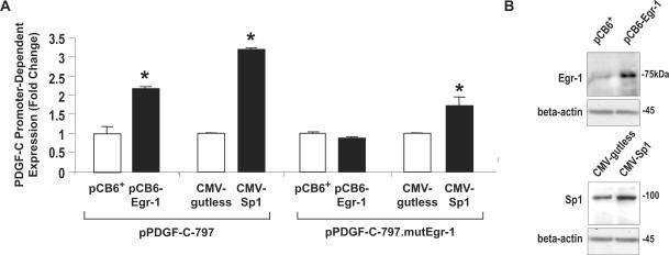 Figure 10.