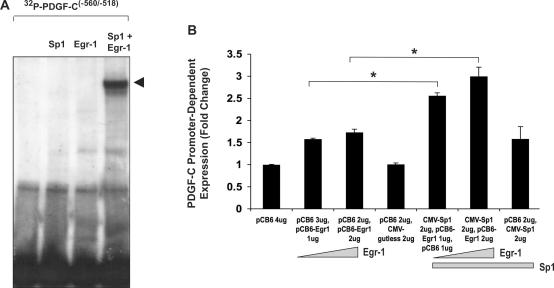 Figure 5.