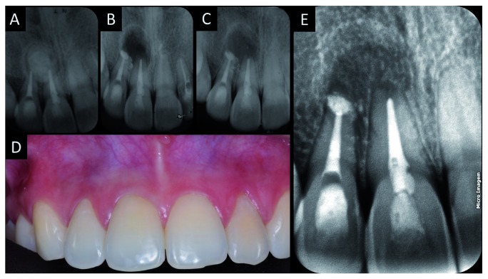 Figure 5. 