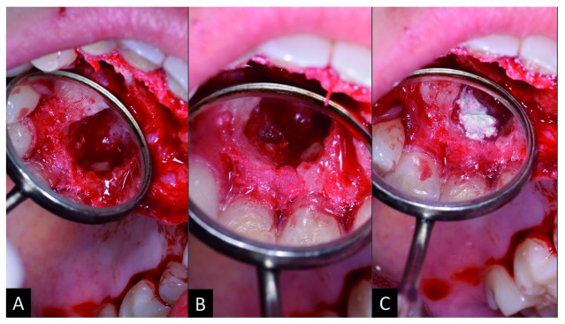 Figure 3. 