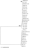 FIG. 2.